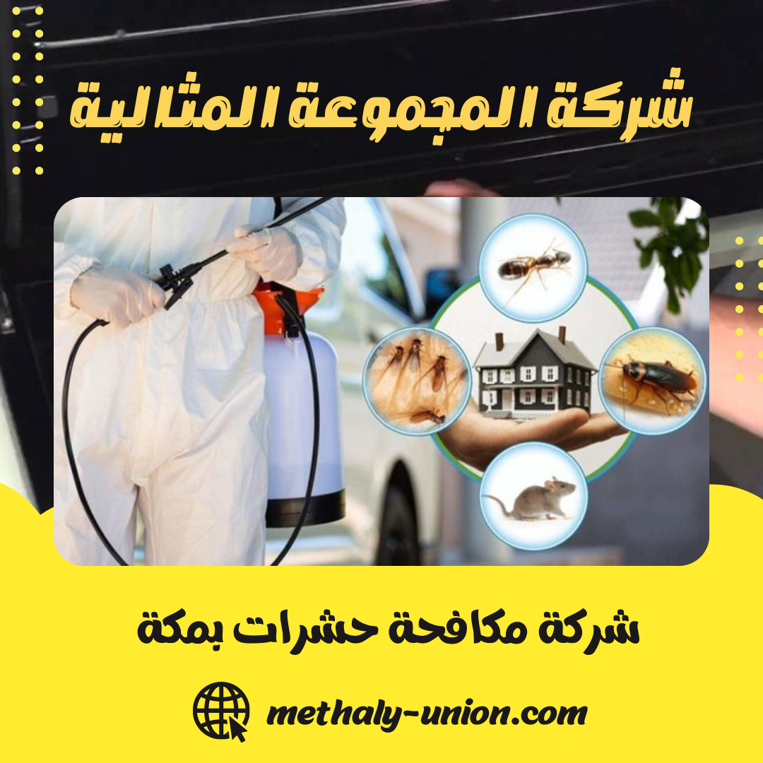 افضل شركة رش حشرات بمكة