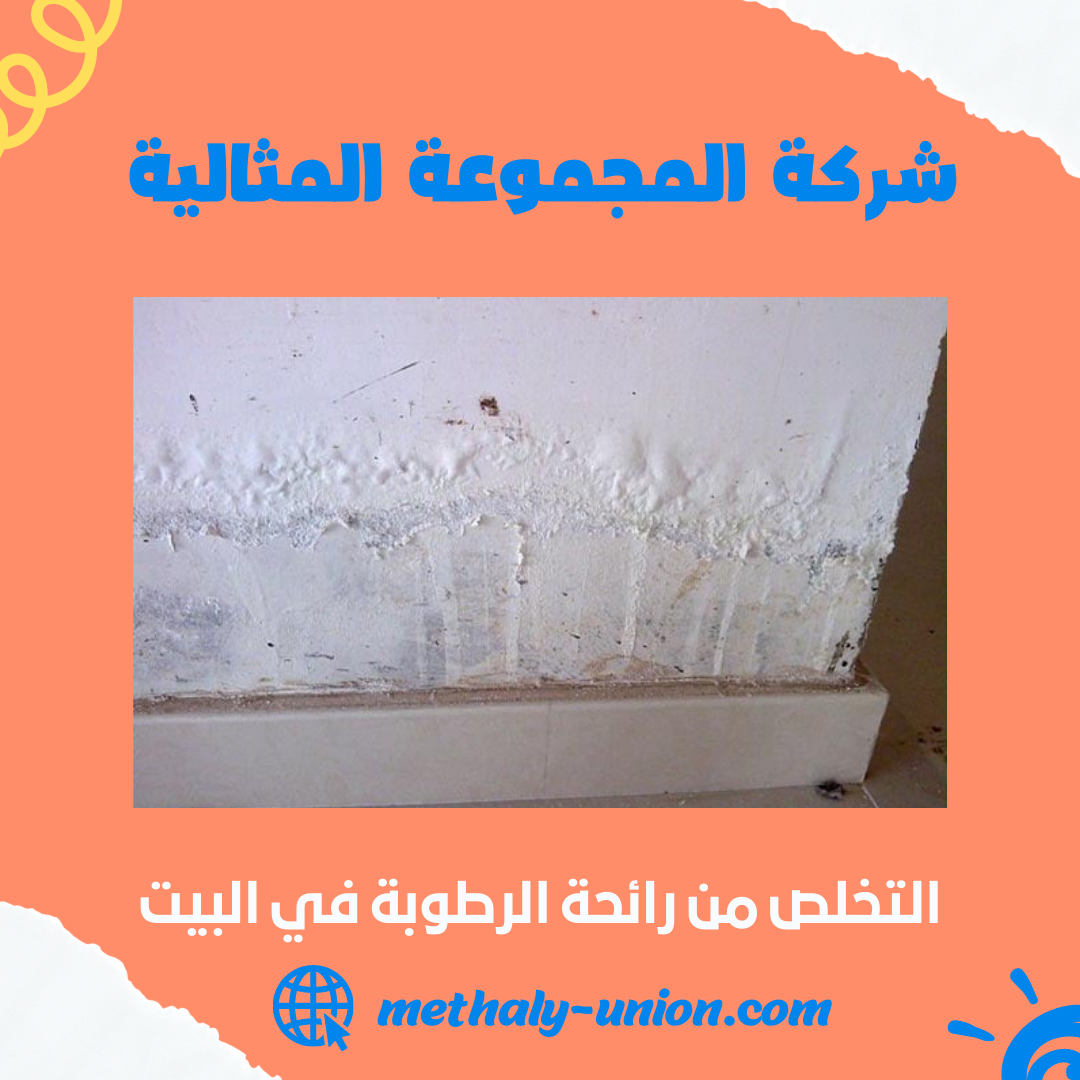 علاج الرطوبة في الجدار