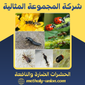 الحشرات الضارة والنافعة