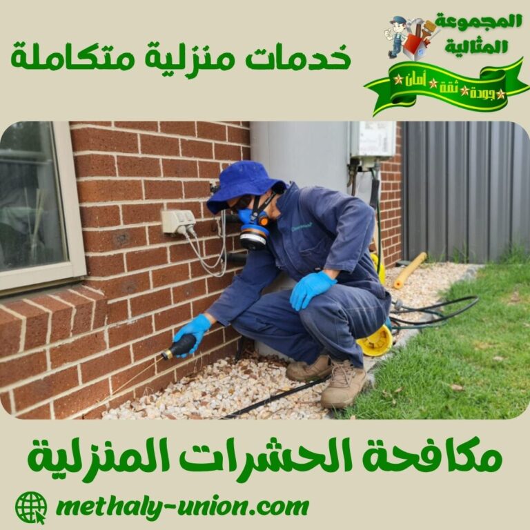 مكافحة الحشرات المنزلية