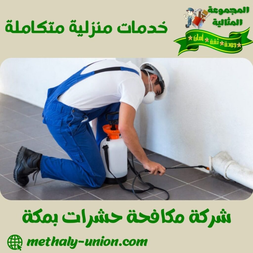 شركة مكافحة حشرات بمكة شركة مكافحة حشرات بمكة