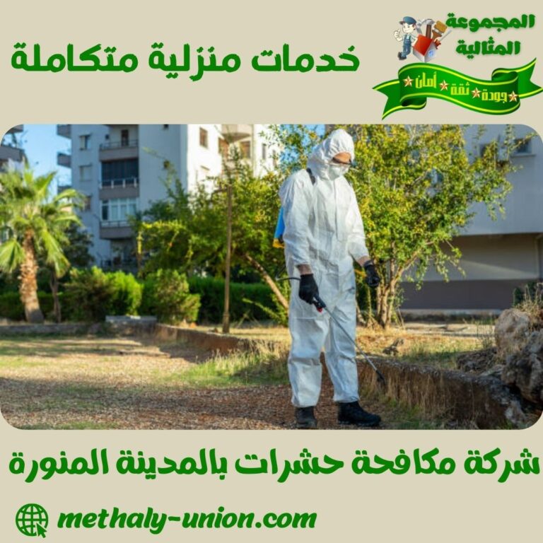 شركة مكافحة حشرات بالمدينة المنورة