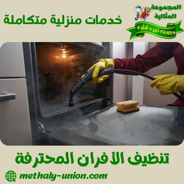 تنظيف الأفران المحترفة