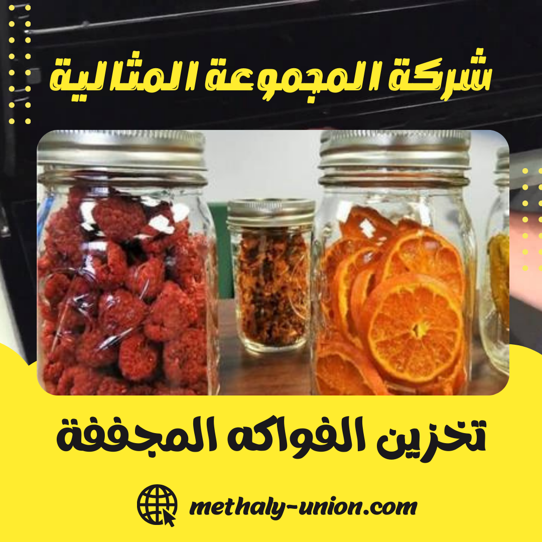 تعبئة وتخزين الفواكه والخضروات المجففة بطريقة صحيحة