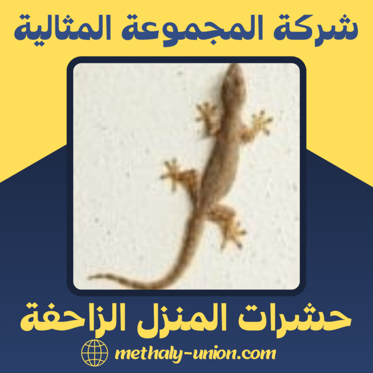 حشرات المنزل الزاحفة