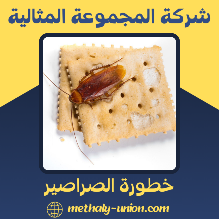 خطورة الصراصير