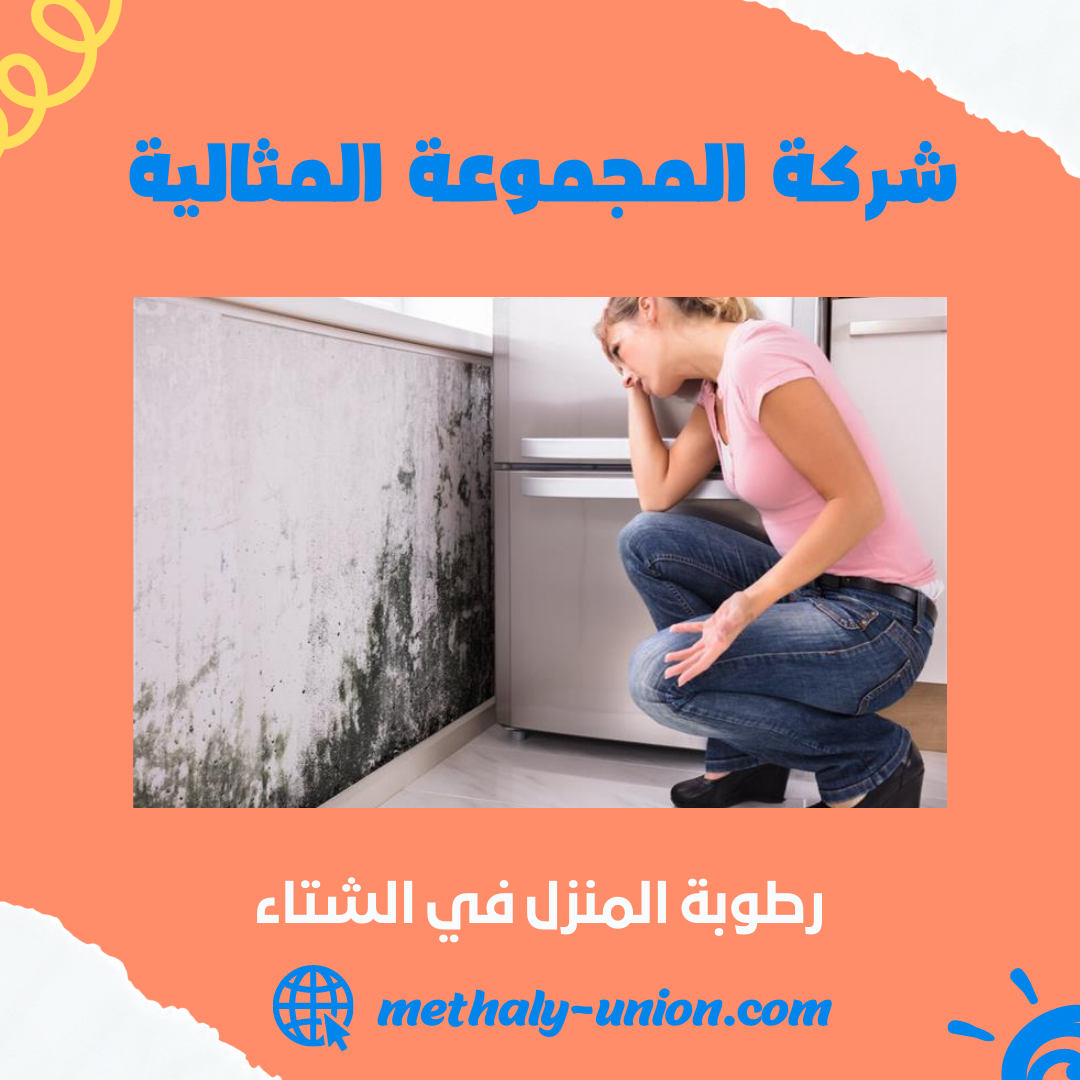 رطوبة المنزل في الشتاء: الأسباب والتأثيرات والحلول