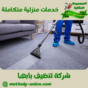 شركة تنظيف بابها شركة تنظيف بابها
