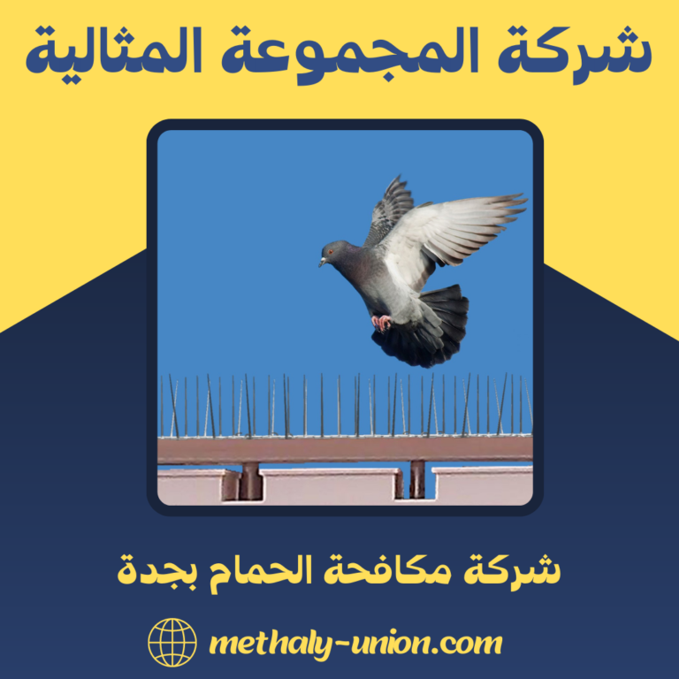 شركة مكافحة الحمام بجدة