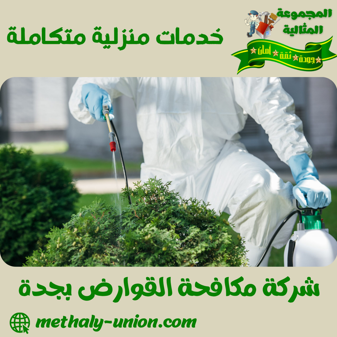شركة مكافحة القوارض بجدة 0533299153 | ضمان عام وآمان تام