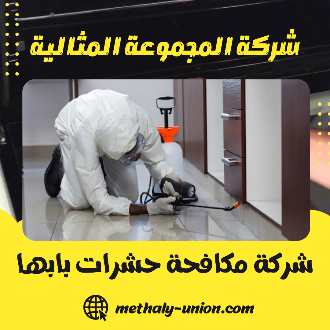 شركة مكافحة حشرات بابها 0533299153 رش وابادة الحشرات المنزلية بابها
