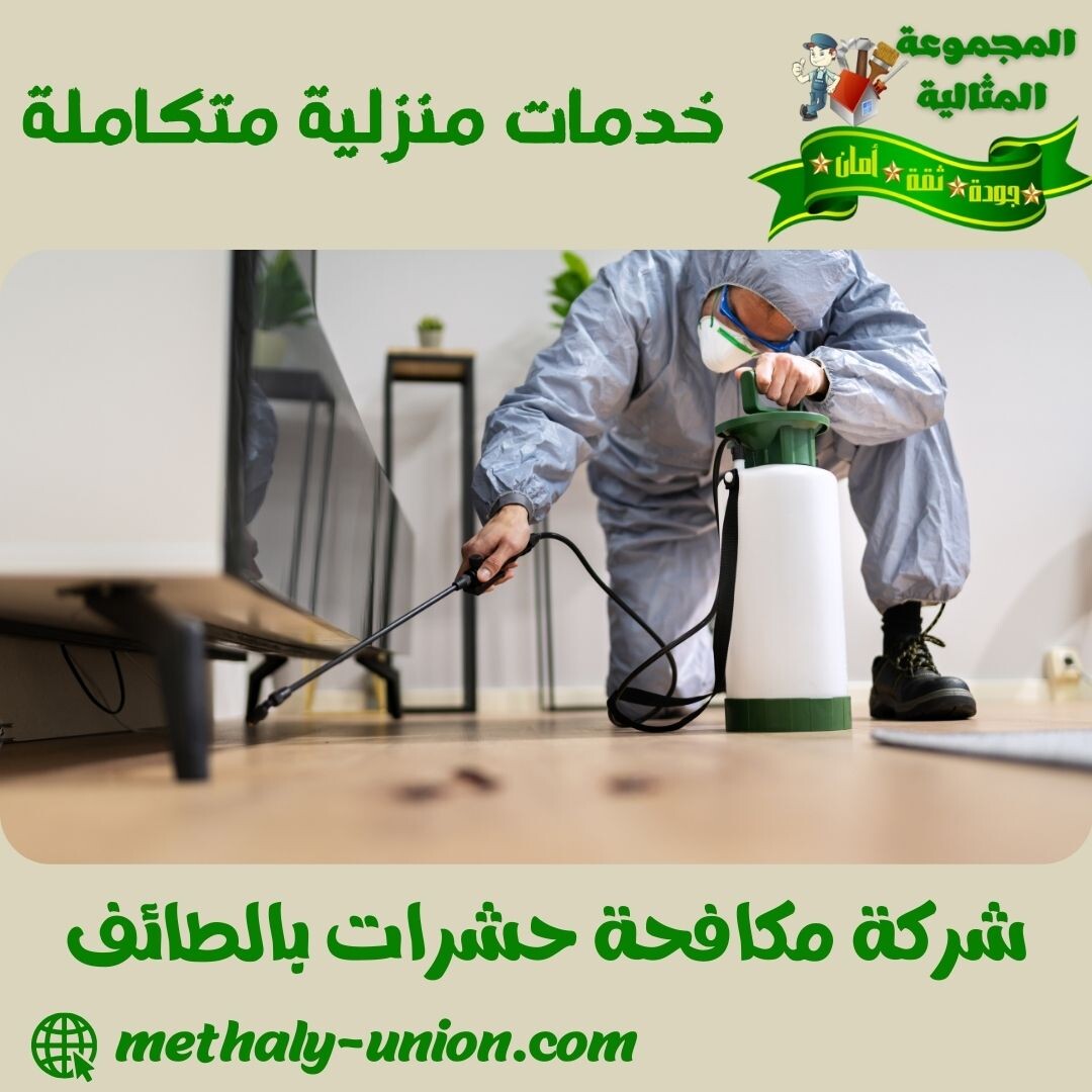 شركة مكافحة حشرات بالطائف 0533299153 | رش وإبادة