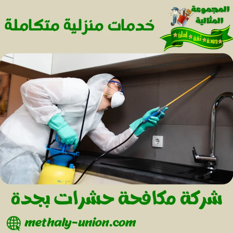 شركة مكافحة حشرات بجدة