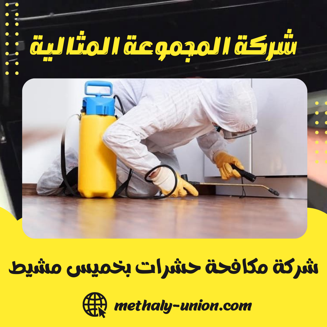 شركة مكافحة حشرات بخميس مشيط 0533299153 رش و ابادة الحشرات المنزلية
