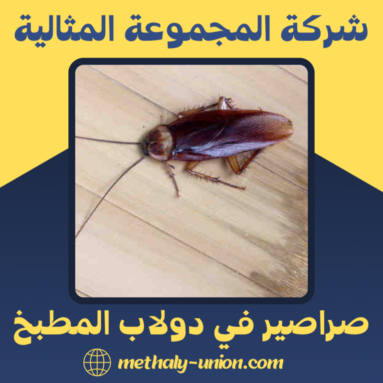 صراصير في دولاب المطبخ